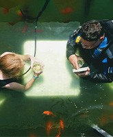 Underwater